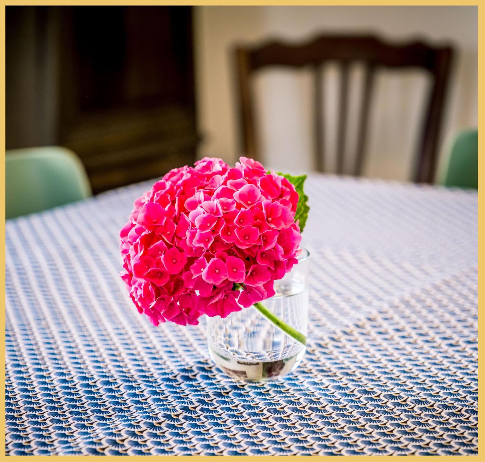 Chez Drum I Villa T3 I Thonon Ngoại thất bức ảnh